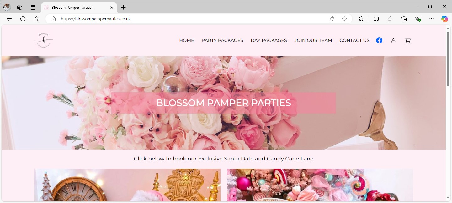 Blossom Pamper Parties website